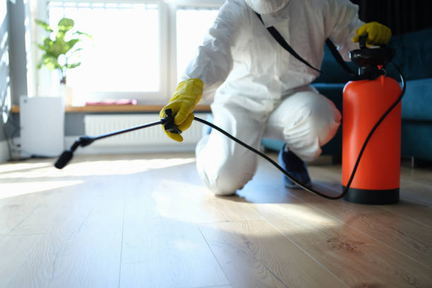 Reliable Odor Removal contractor in Lafayette, OR by Trauma Clean Pros